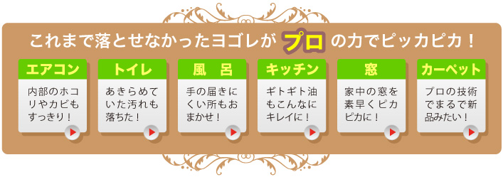 これまで落とせなかったヨゴレがプロの力でピッカピカ！